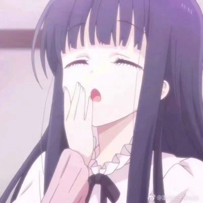 美第一夫人祸从口出